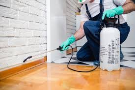 Best Residential Pest Control  in Stlman Valley, IL